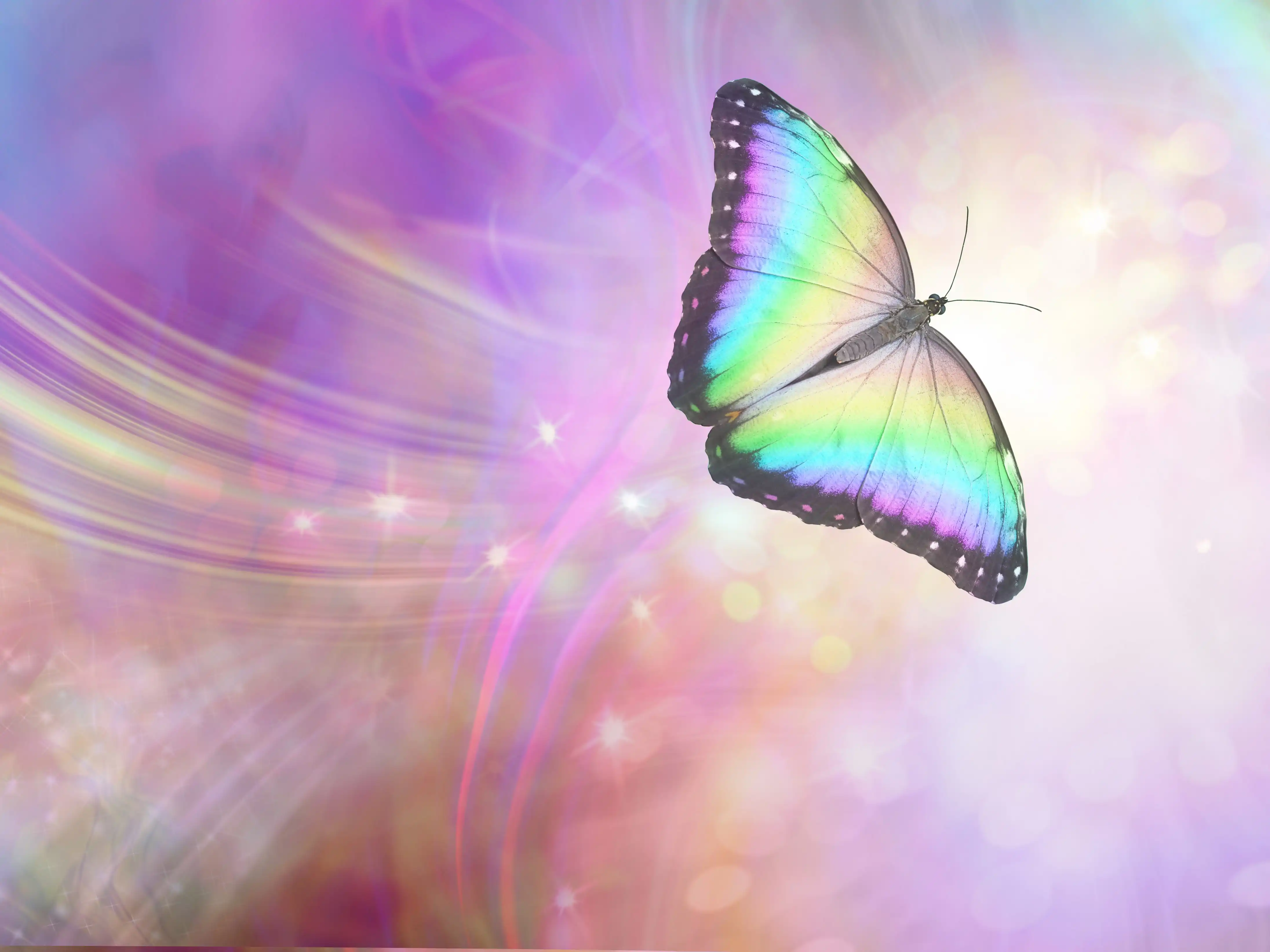 AdobeStock_288916137